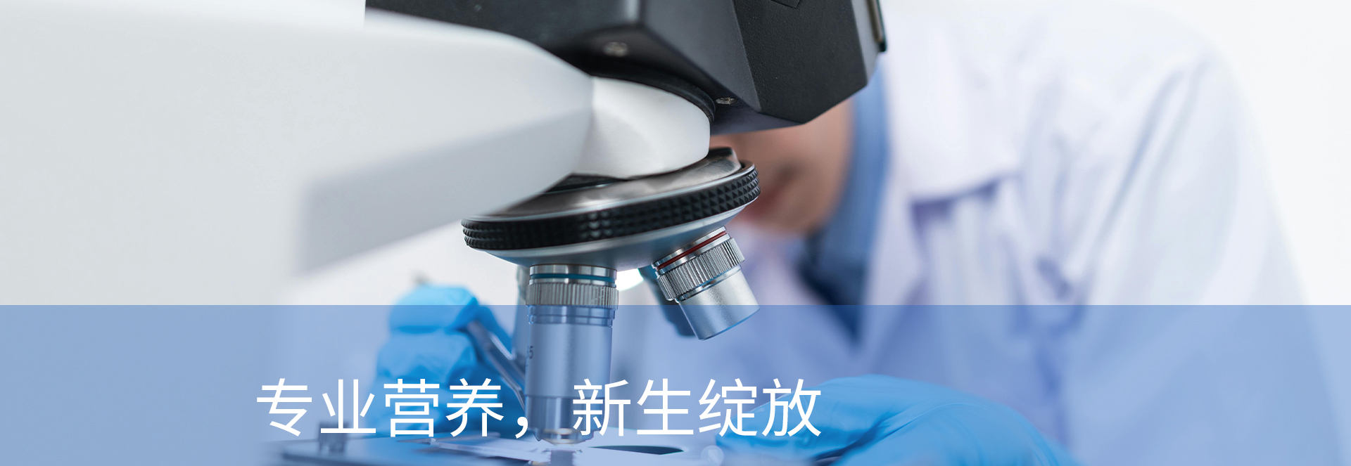 广告标题